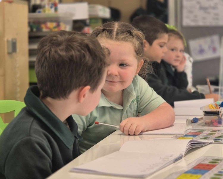 students learning in pairs